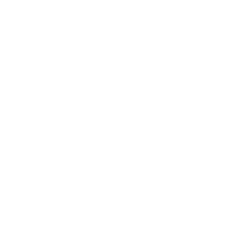 Acceso con seguridad