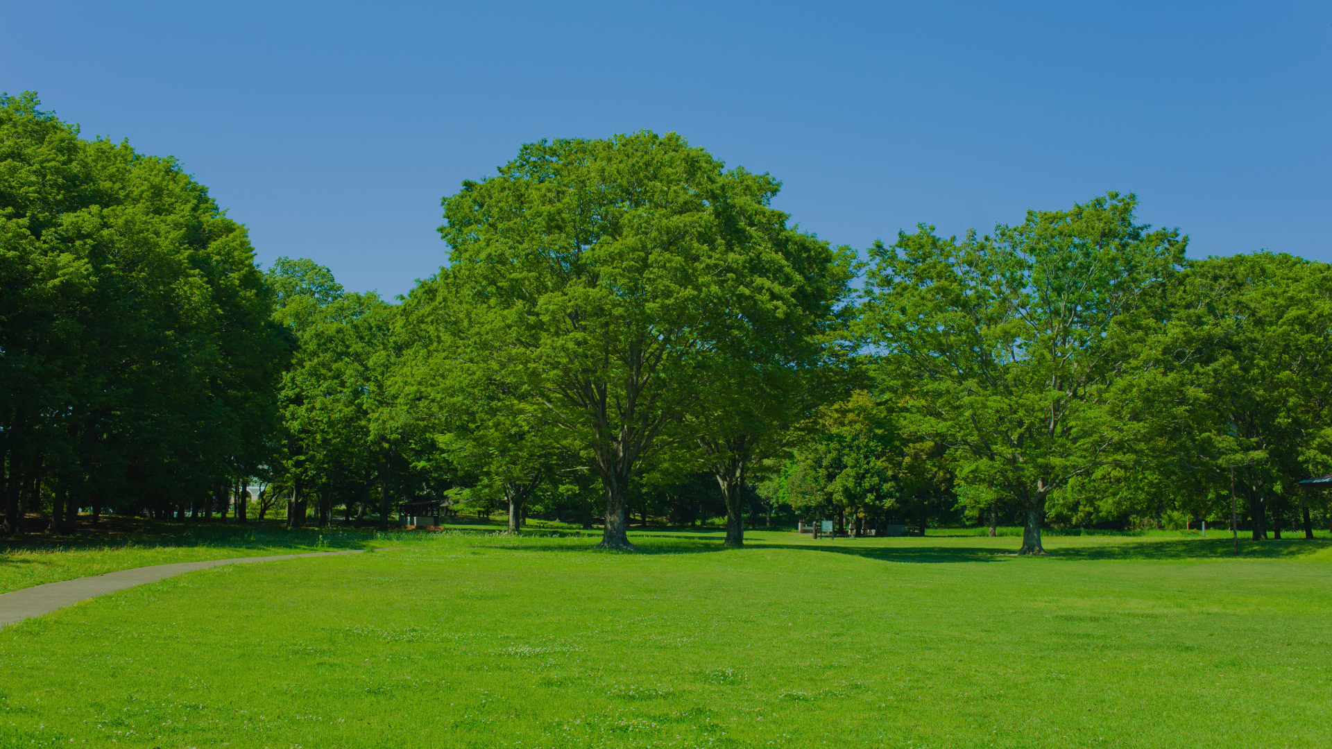 Tu lote acondicionado